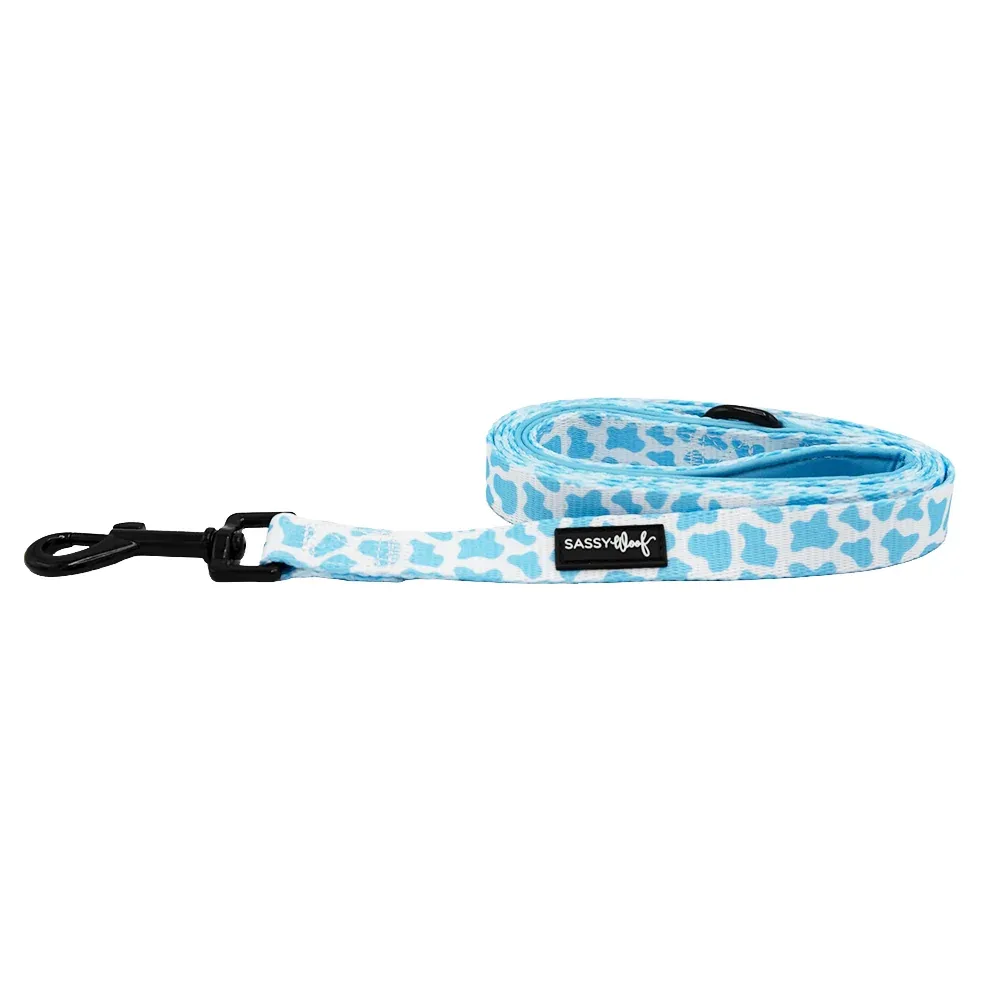 Dog Leash - Blueberry Milk - Image 2