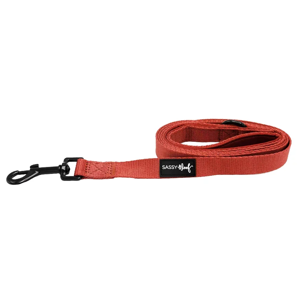 Dog Leash - Burgundy - Image 2