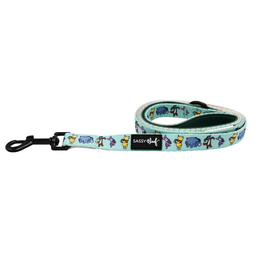 Dog Leash - Disney's Winnie the Pooh - Image 2