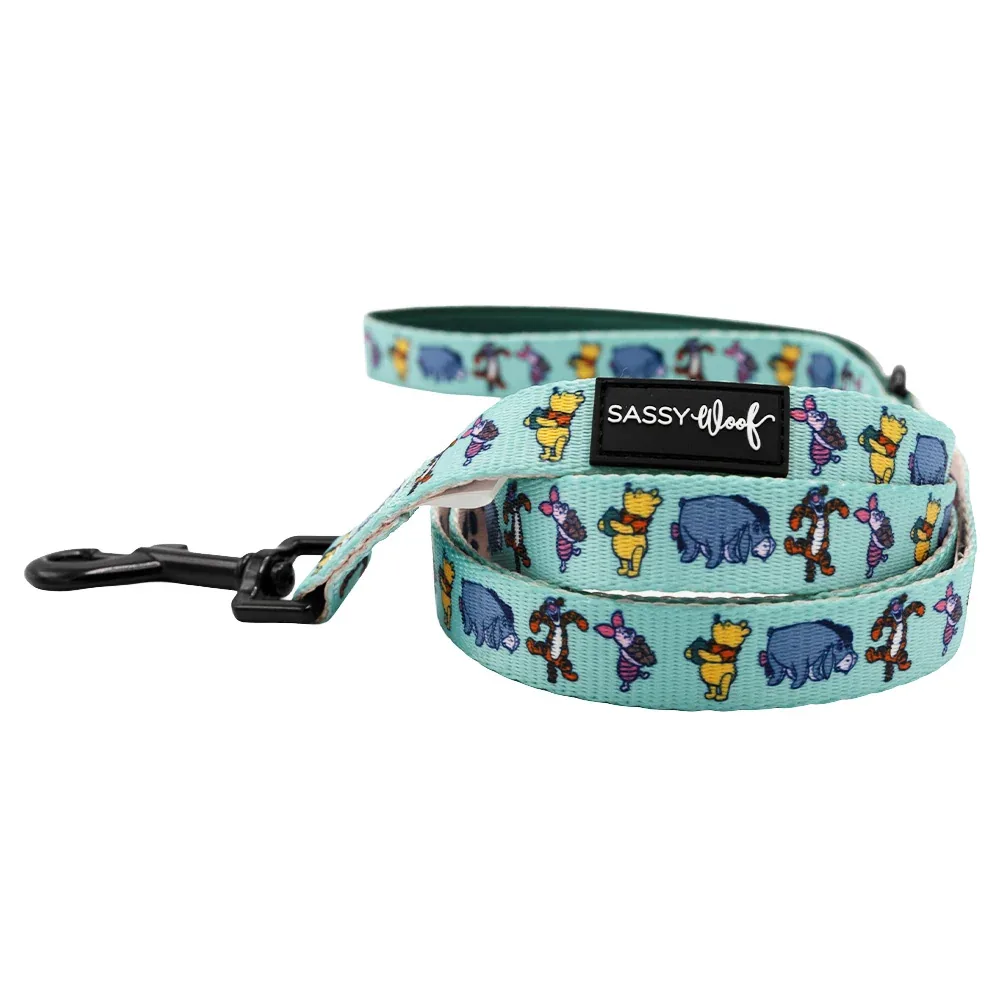 Dog Leash - Disney's Winnie the Pooh