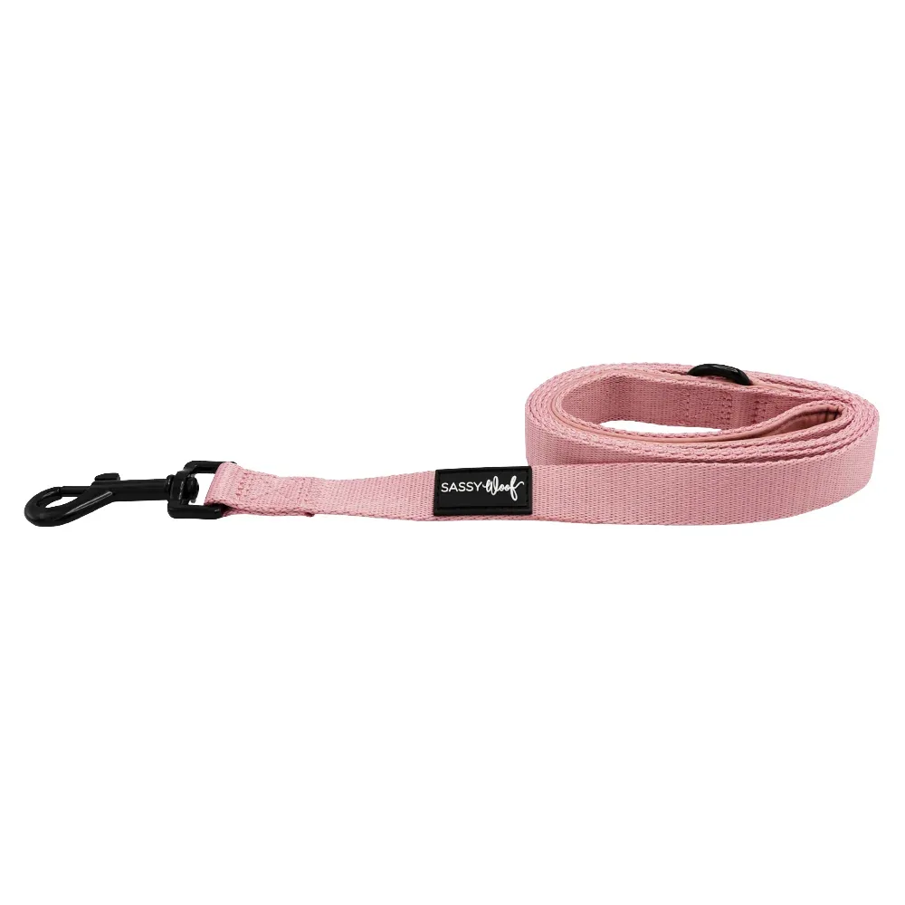 Dog Leash - Dusty Rose - Image 2