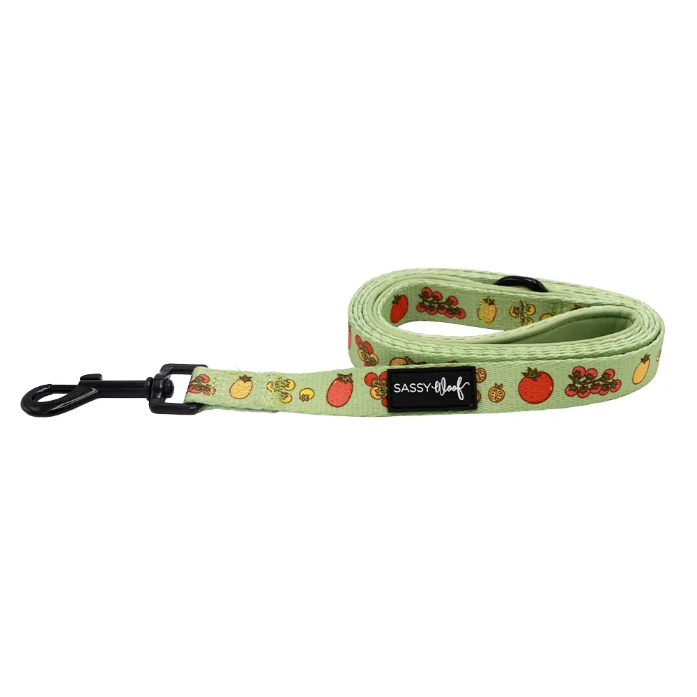 Dog Leash - Feeling Vine - Image 2