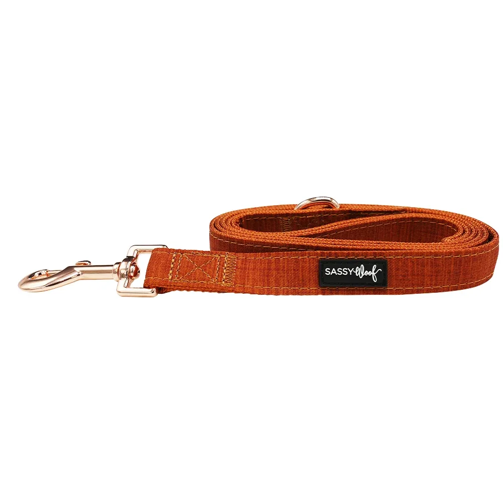 Dog Leash - Foxy - Image 2