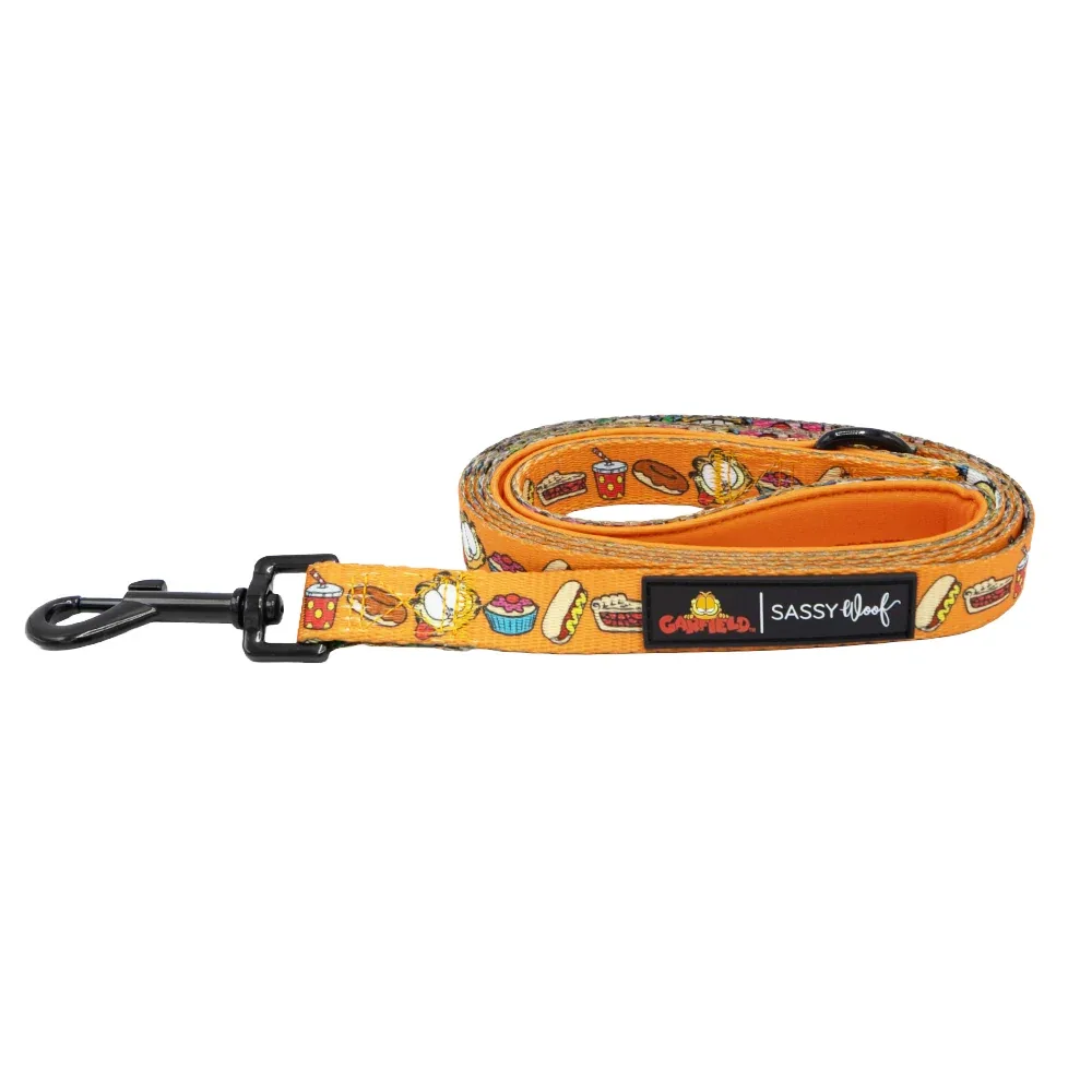 Dog Leash - Garfield™ - Image 2