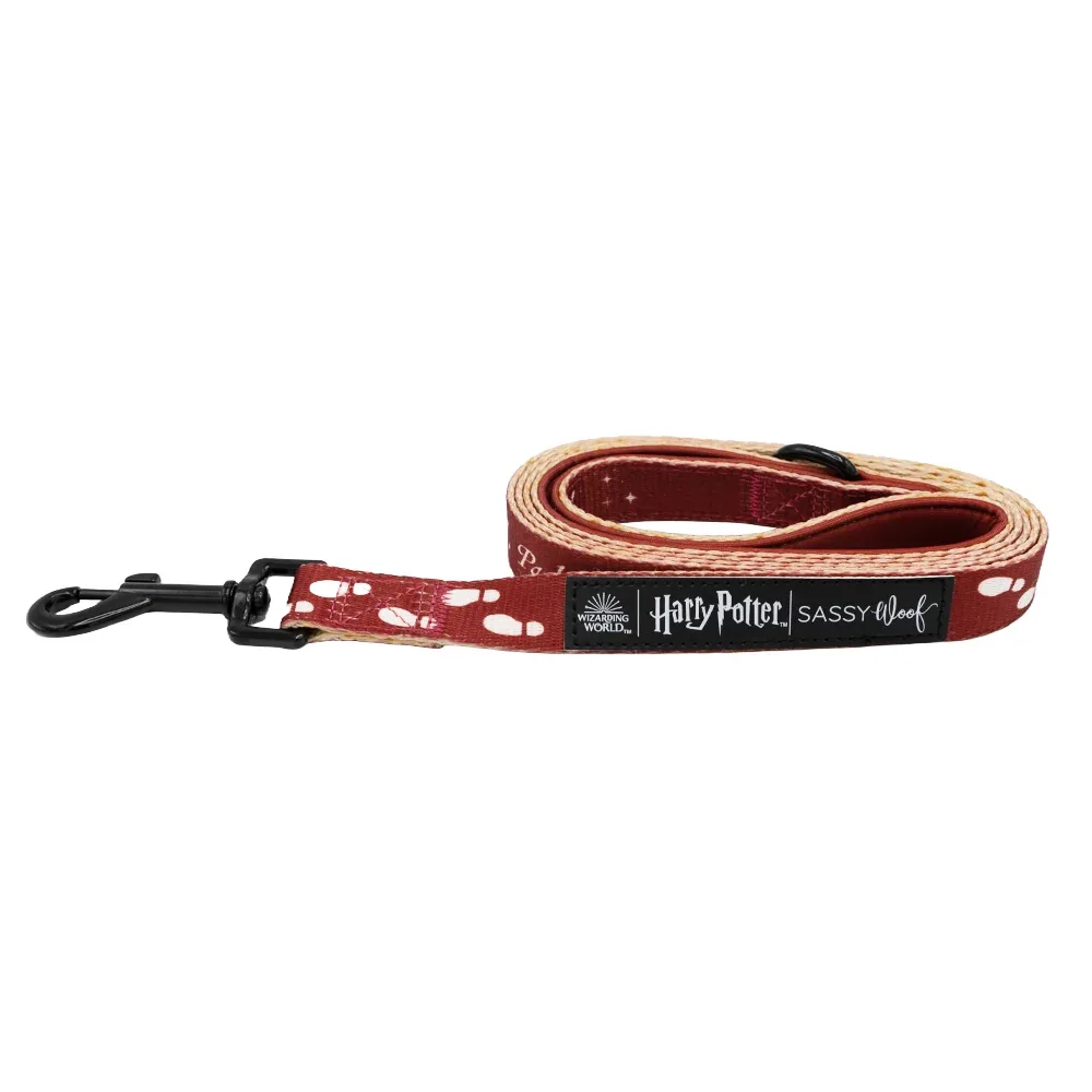 Dog Leash - Harry Potter™ Marauder's Map™ - Image 2