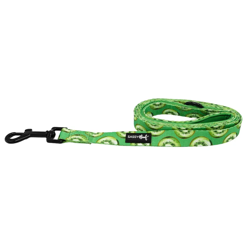 Dog Leash - Kiwi Krazy - Image 2