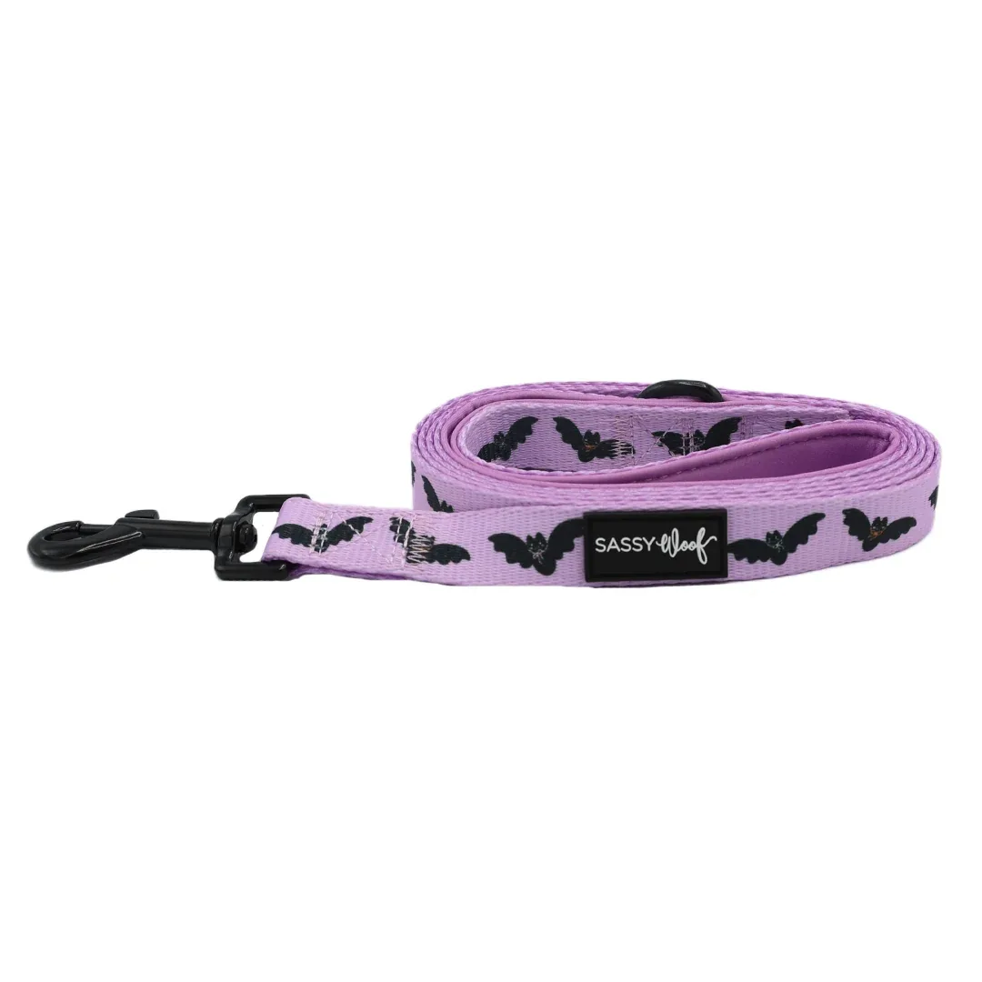 Dog Leash - Lil Batty - Image 2