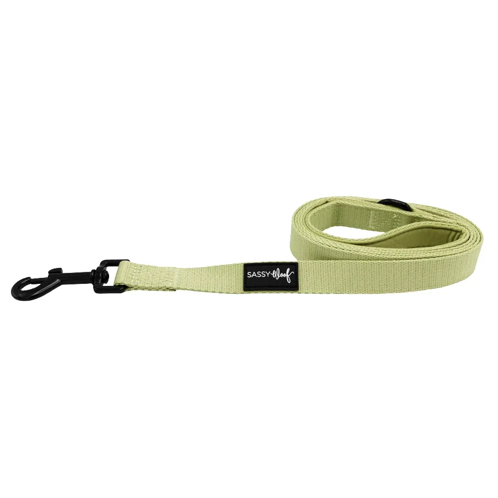 Dog Leash - Matcha - Image 2