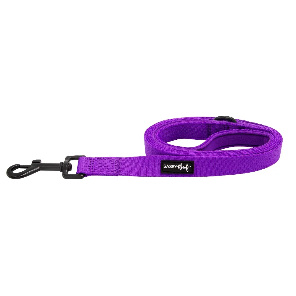 Dog Leash - Neon Purple - Image 2