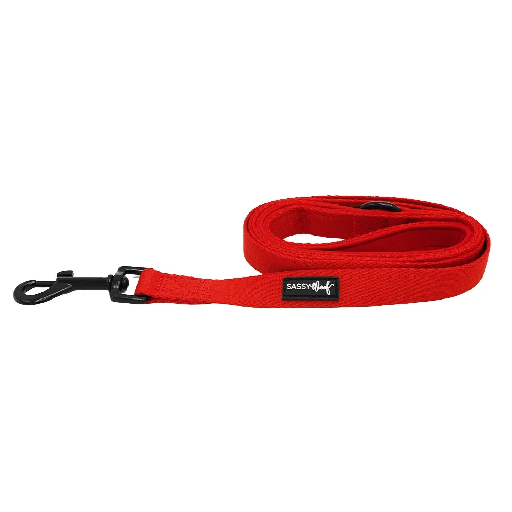 Dog Leash - Neon Red - Image 2