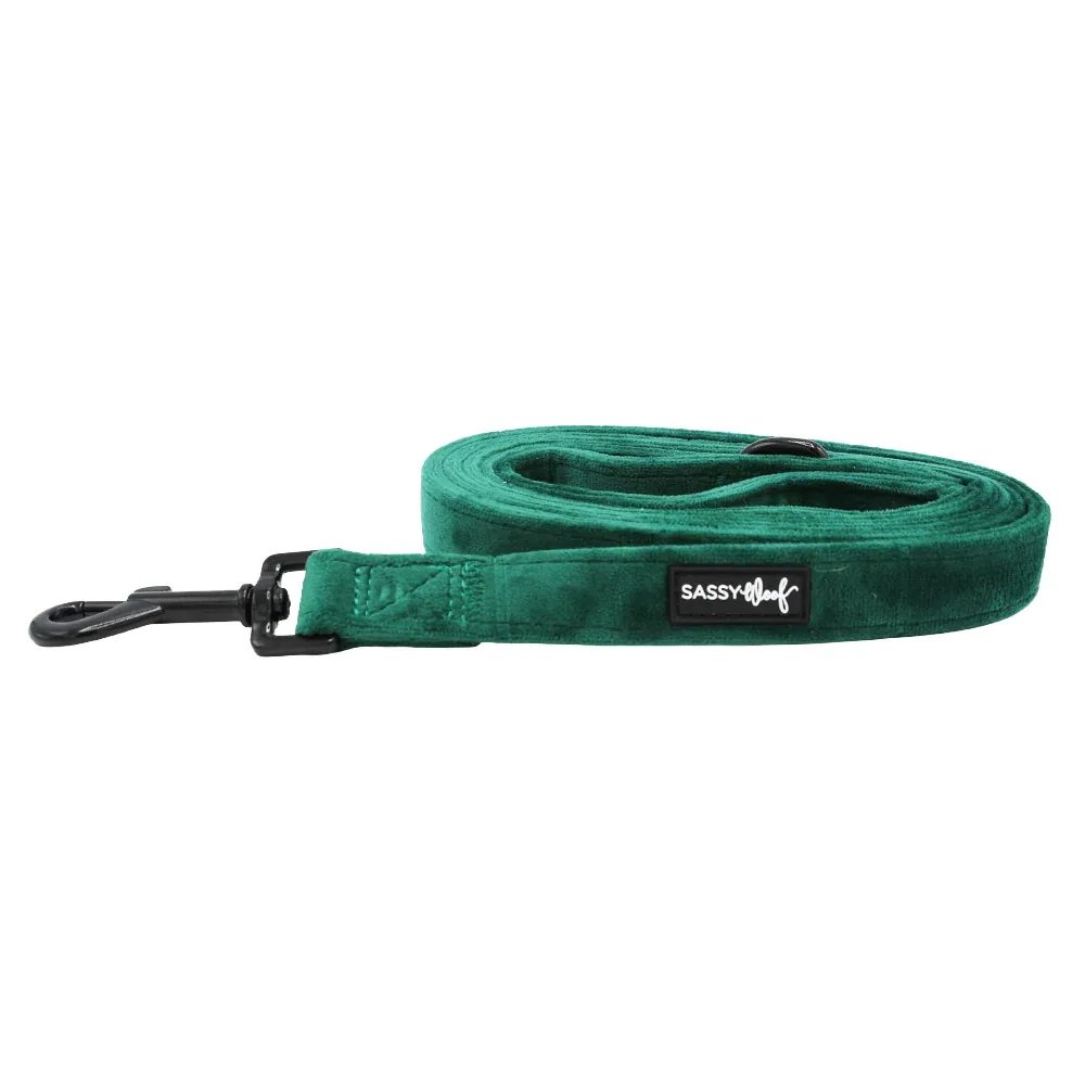 Dog Leash - Nice - Image 2