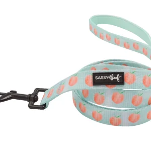 Dog Leash - Peach Please