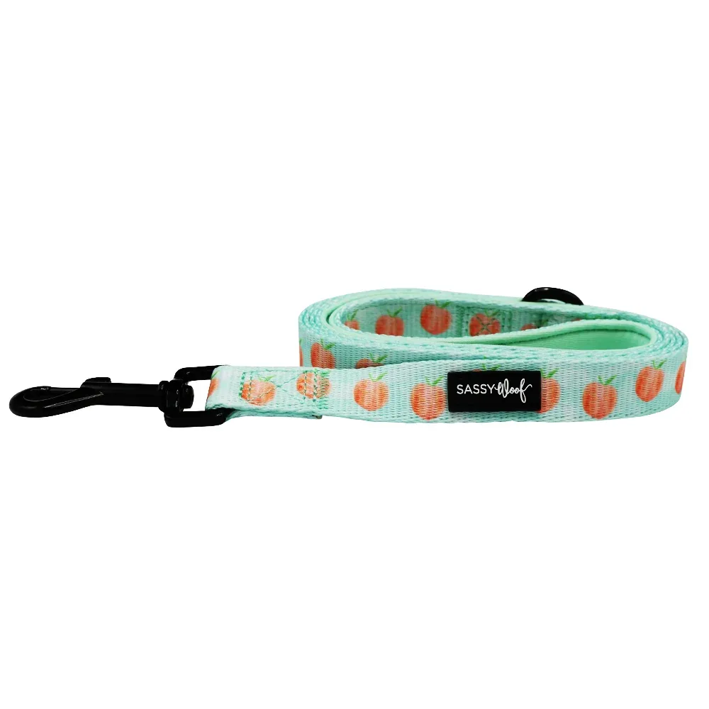 Dog Leash - Peach Please - Image 2