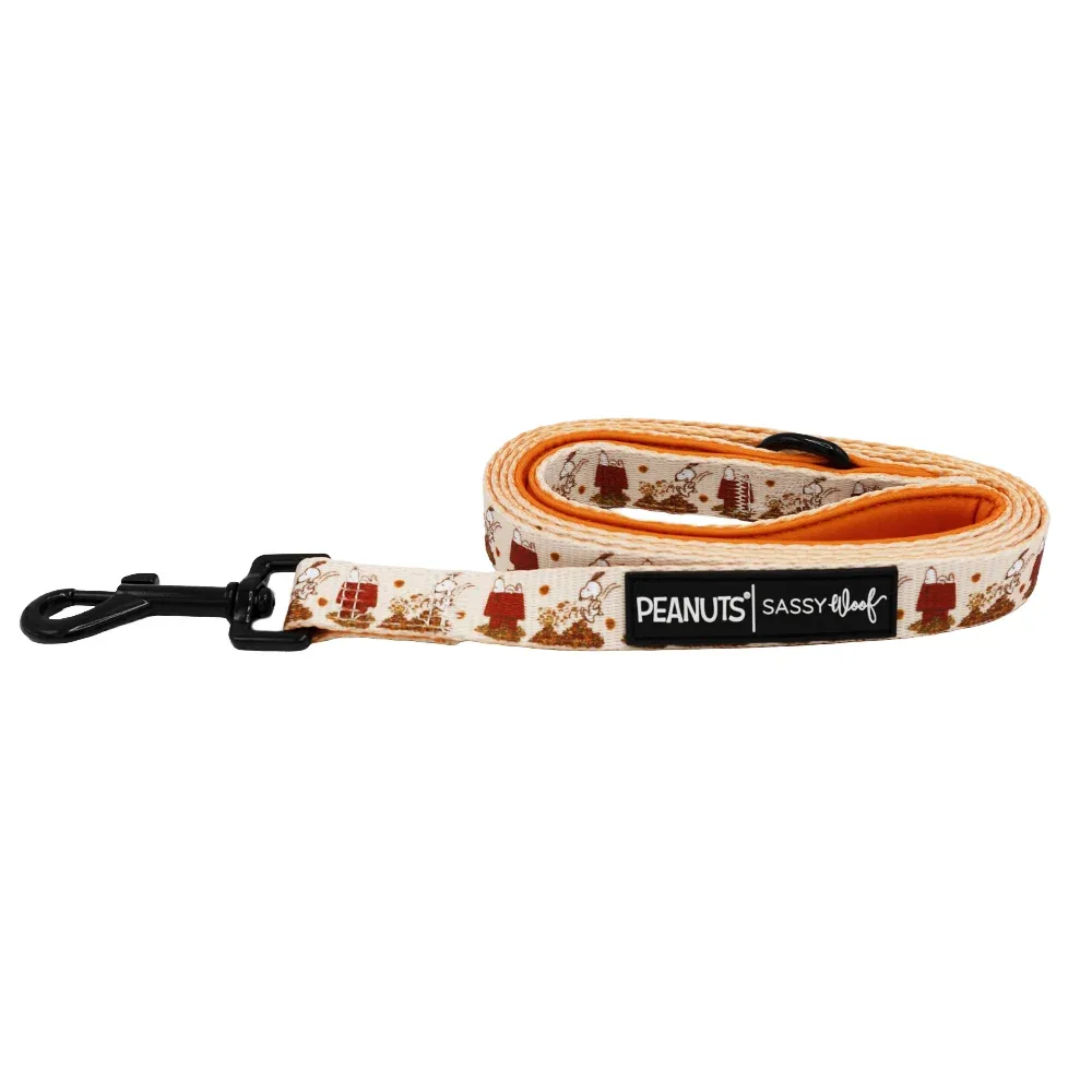 Dog Leash - Peanuts™ Harvest - Image 2