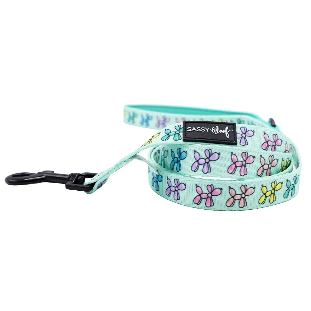 Dog Leash - Pup Pup Hooray