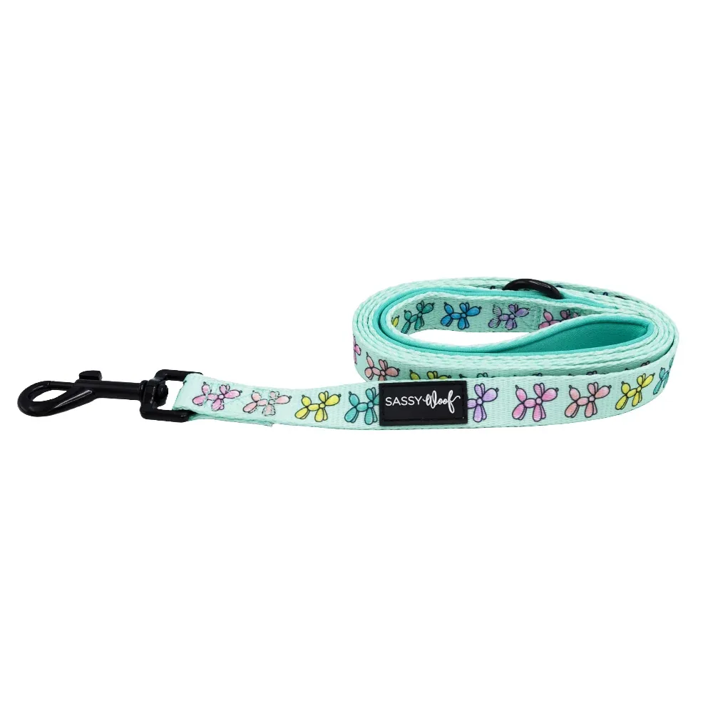 Dog Leash - Pup Pup Hooray - Image 2