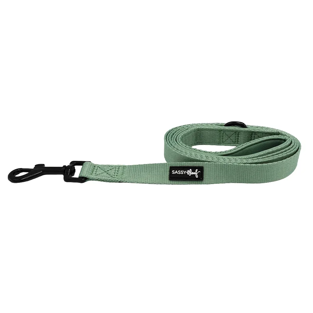 Dog Leash - Sage - Image 2