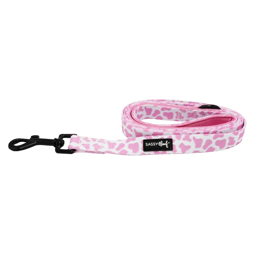 Dog Leash - Strawberry Milk - Image 2