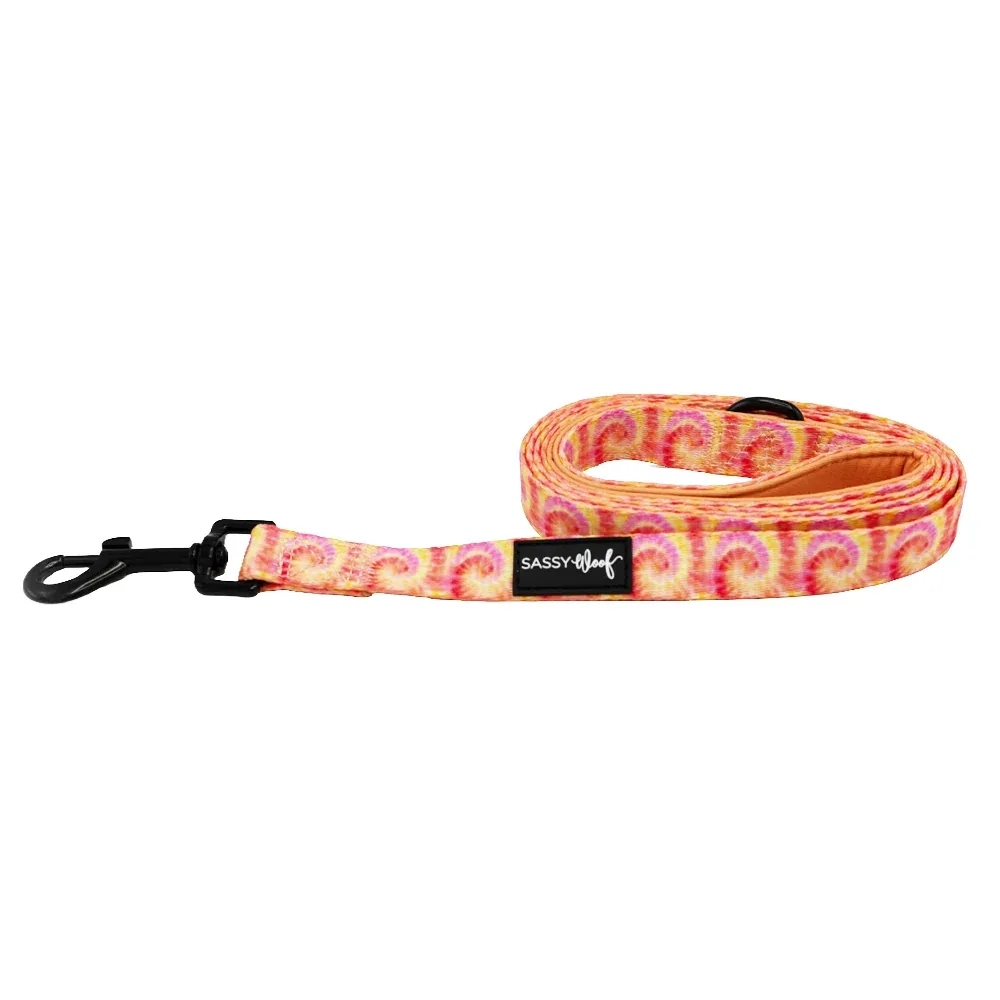 Dog Leash - Summer Sorbet - Image 2