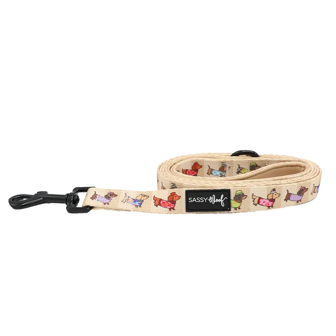 Dog Leash - Sunbean - Image 2