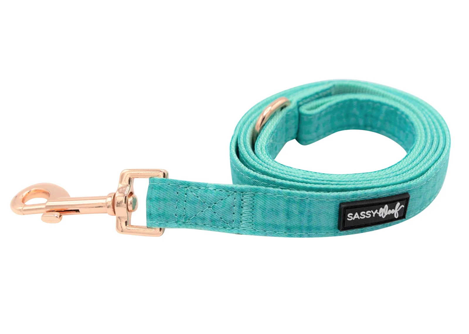 Dog Leash - Wag your Teal - Image 2