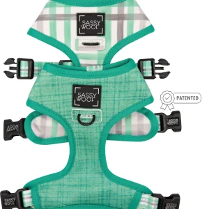 Dog Reversible Harness - Wag Your Teal