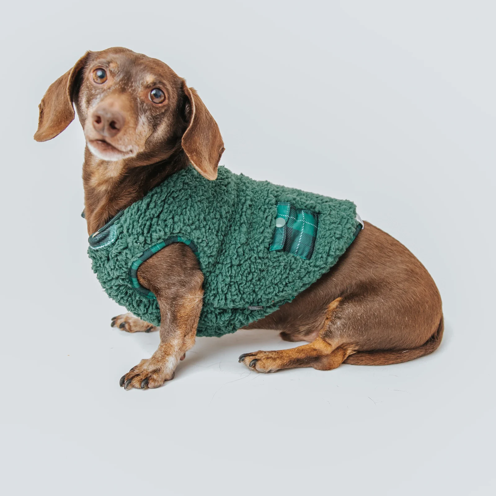 Dog Reversible Sherpa Jacket - Barks of Holly - Image 2