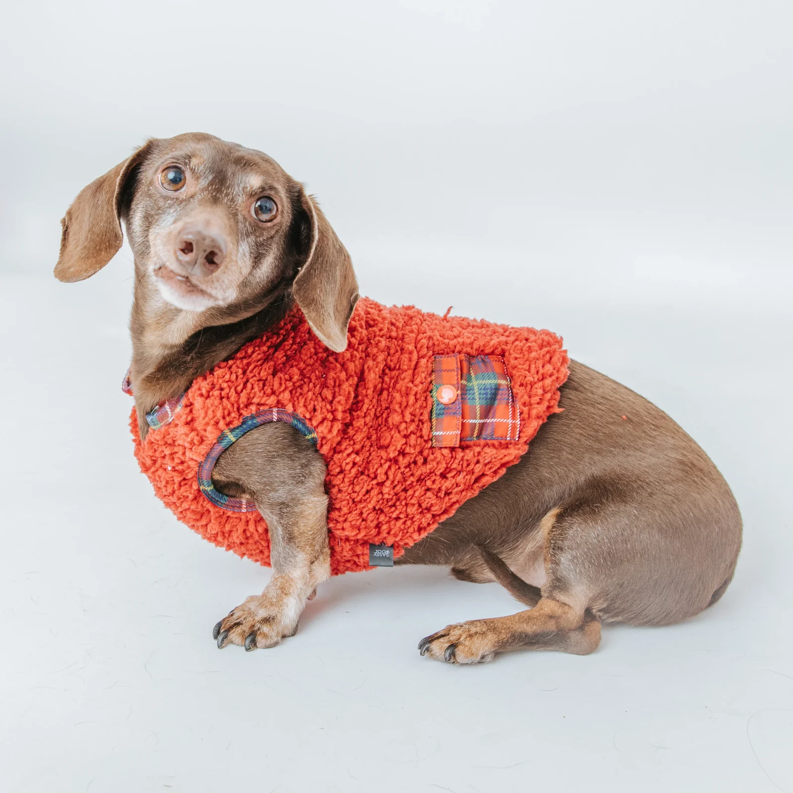 Dog Reversible Sherpa Jacket - Deck the Paws - Image 2