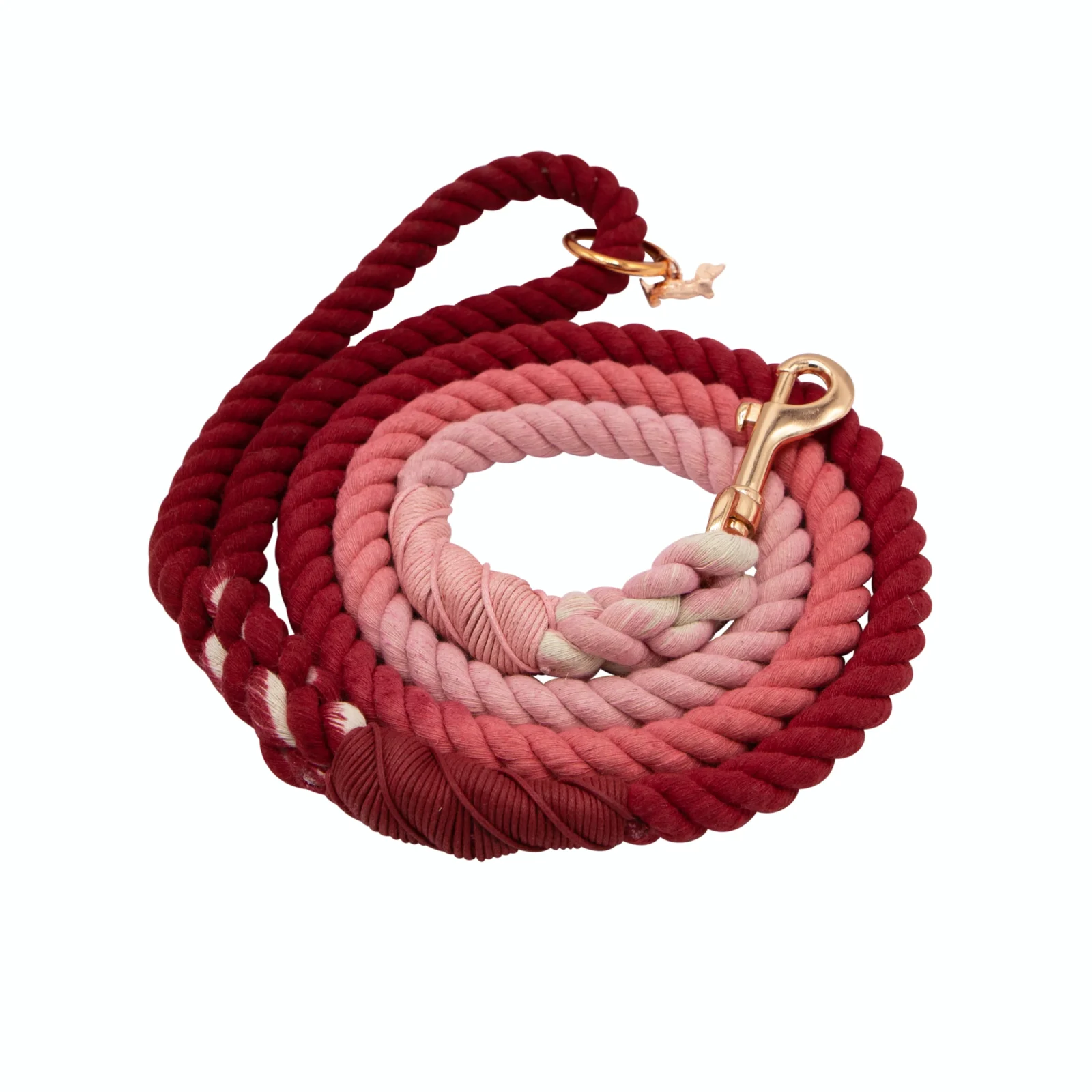 Dog Rope Leash - Beloved - Image 2