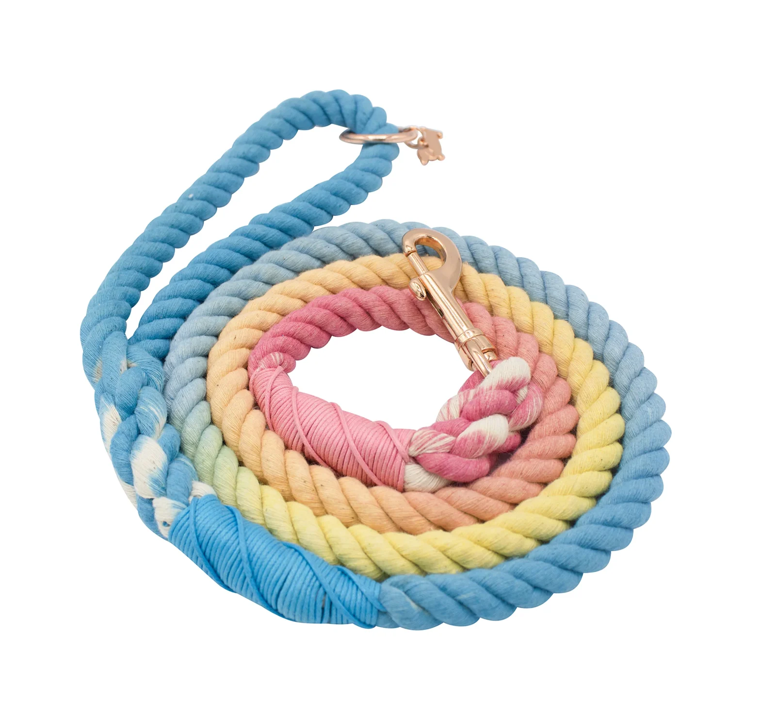 Dog Rope Leash - Bright - Image 2