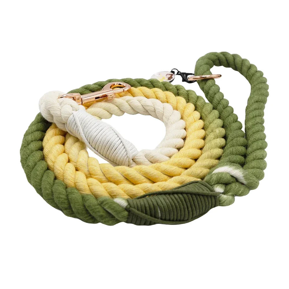 Dog Rope Leash - Disney's Belle - Image 2