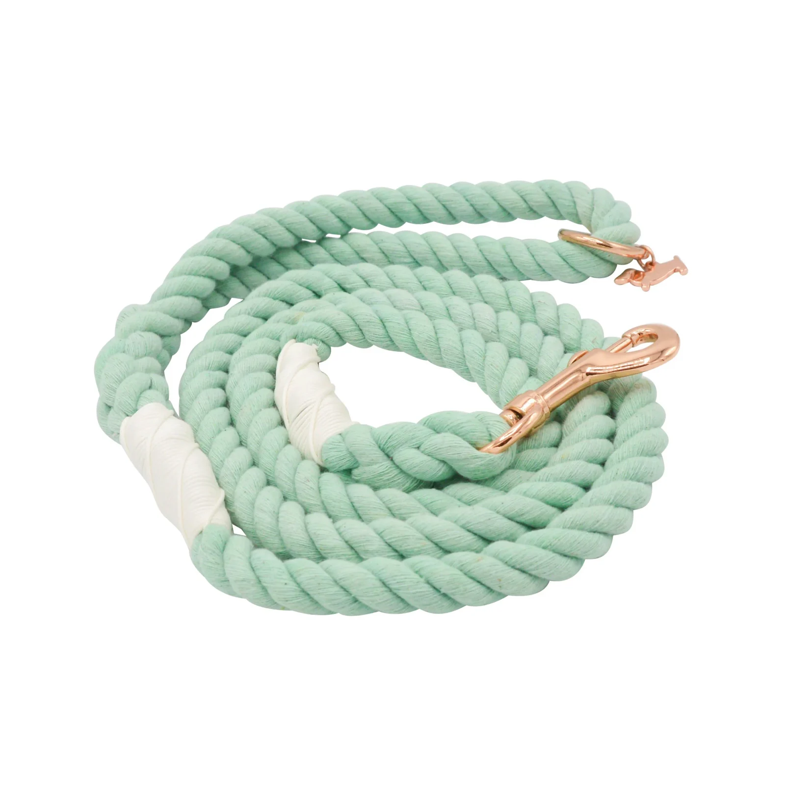 Dog Rope Leash - Mint to Be - Image 2