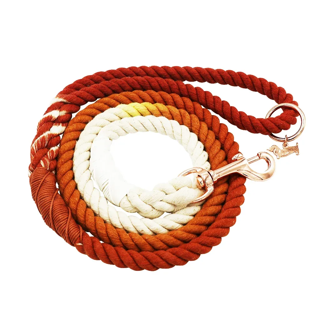 Dog Rope Leash - Ombre Orange - Image 2
