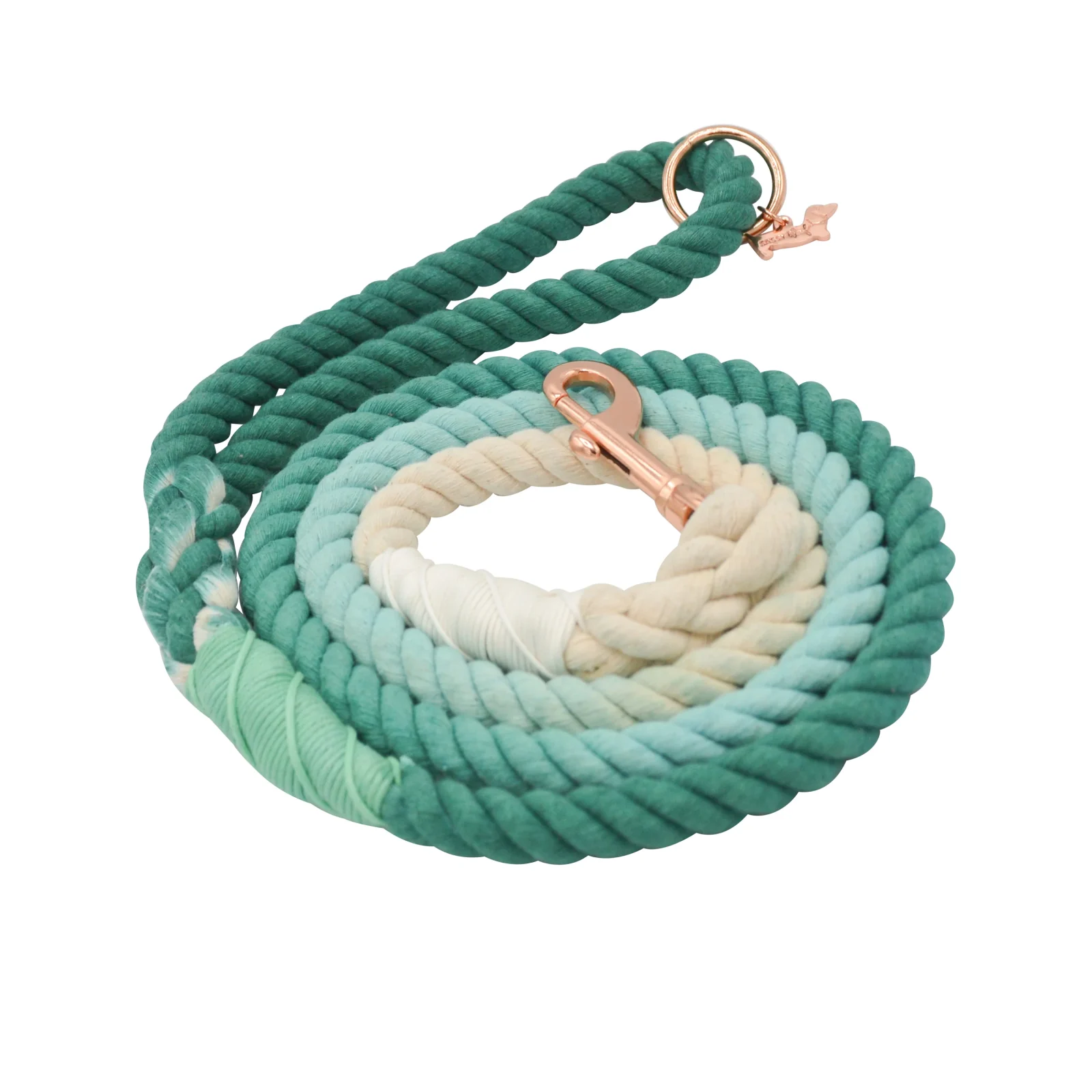 Dog Rope Leash - Ombre Teal - Image 2