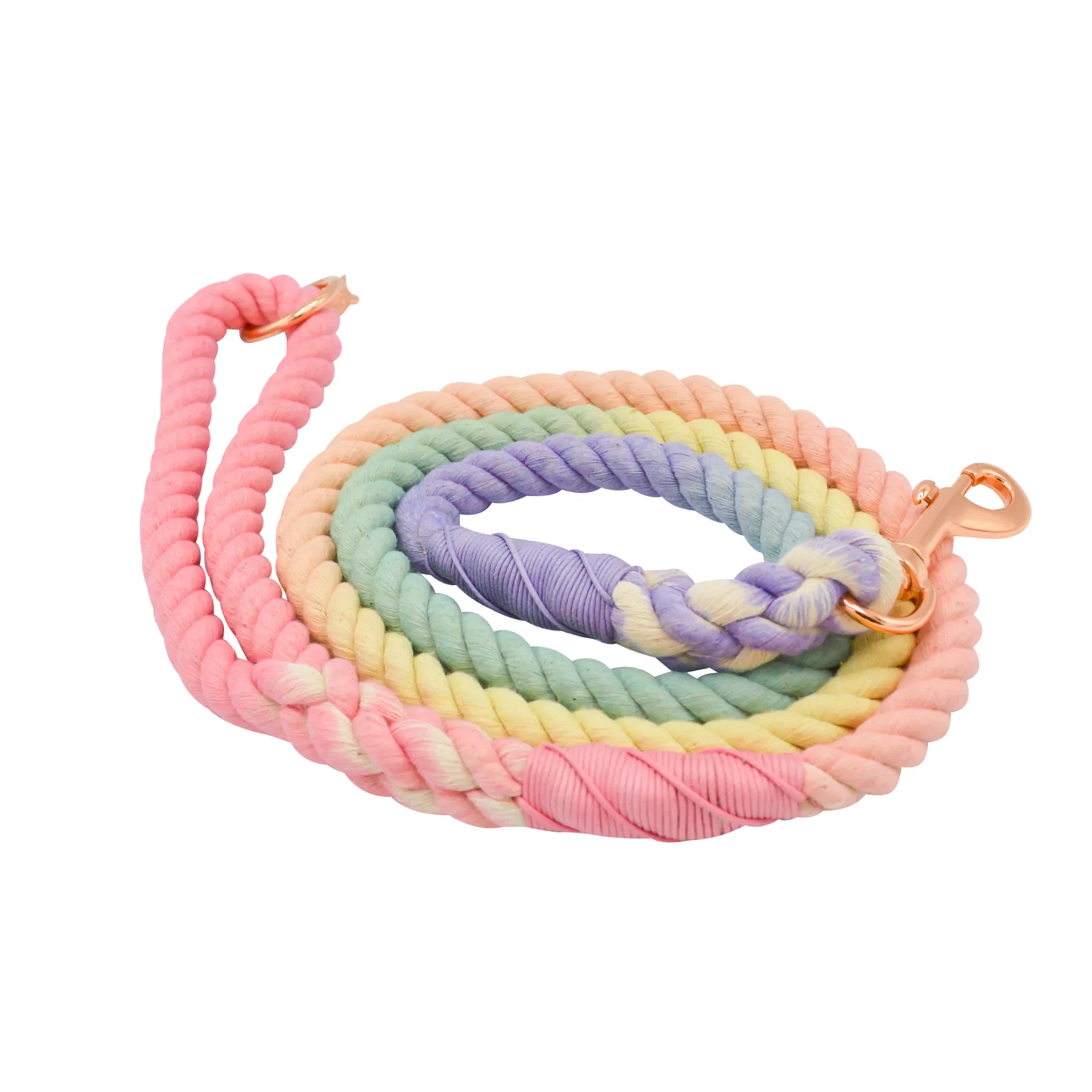 Dog Rope Leash - Rainbow Bright - Image 2
