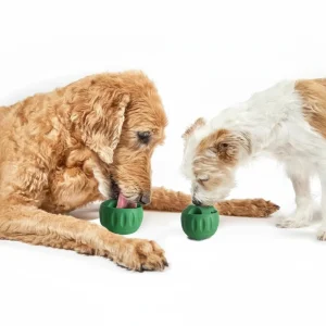 Dog Silicone Slow Tableware Molar Food Leakage Toy Pet Pets Supplies