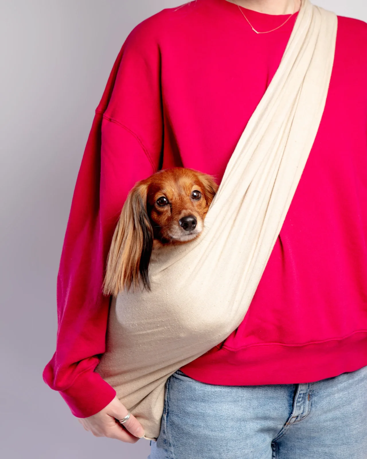 Dog Sling in Oatmeal Linen