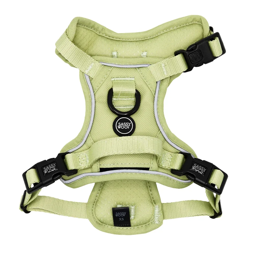 Dog Step-in Harness - Matcha - Image 2