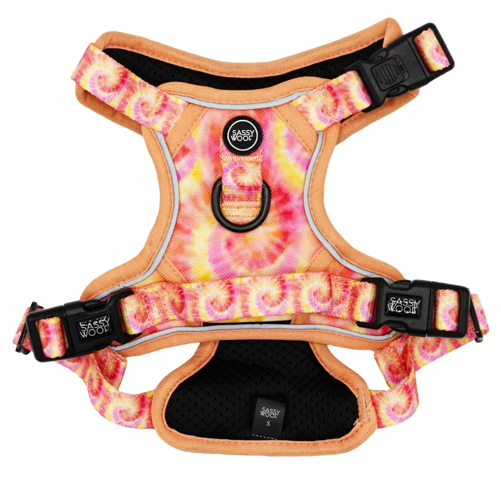Dog Step-in Harness - Summer Sorbet - Image 2