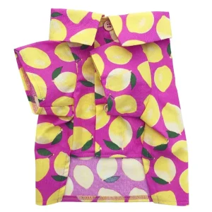 DOG THREADS | Lemons BBQ Shirt