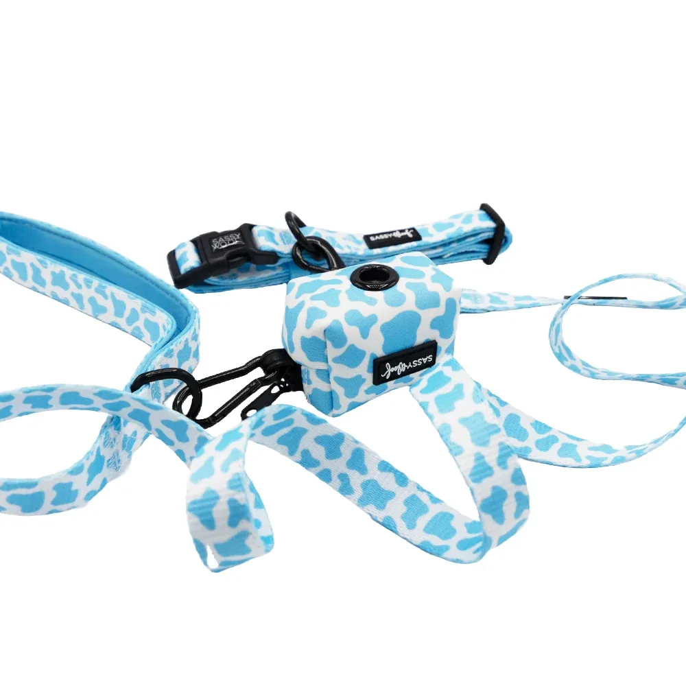 Dog Three Piece Bundle - Blueberry Milk - Image 2