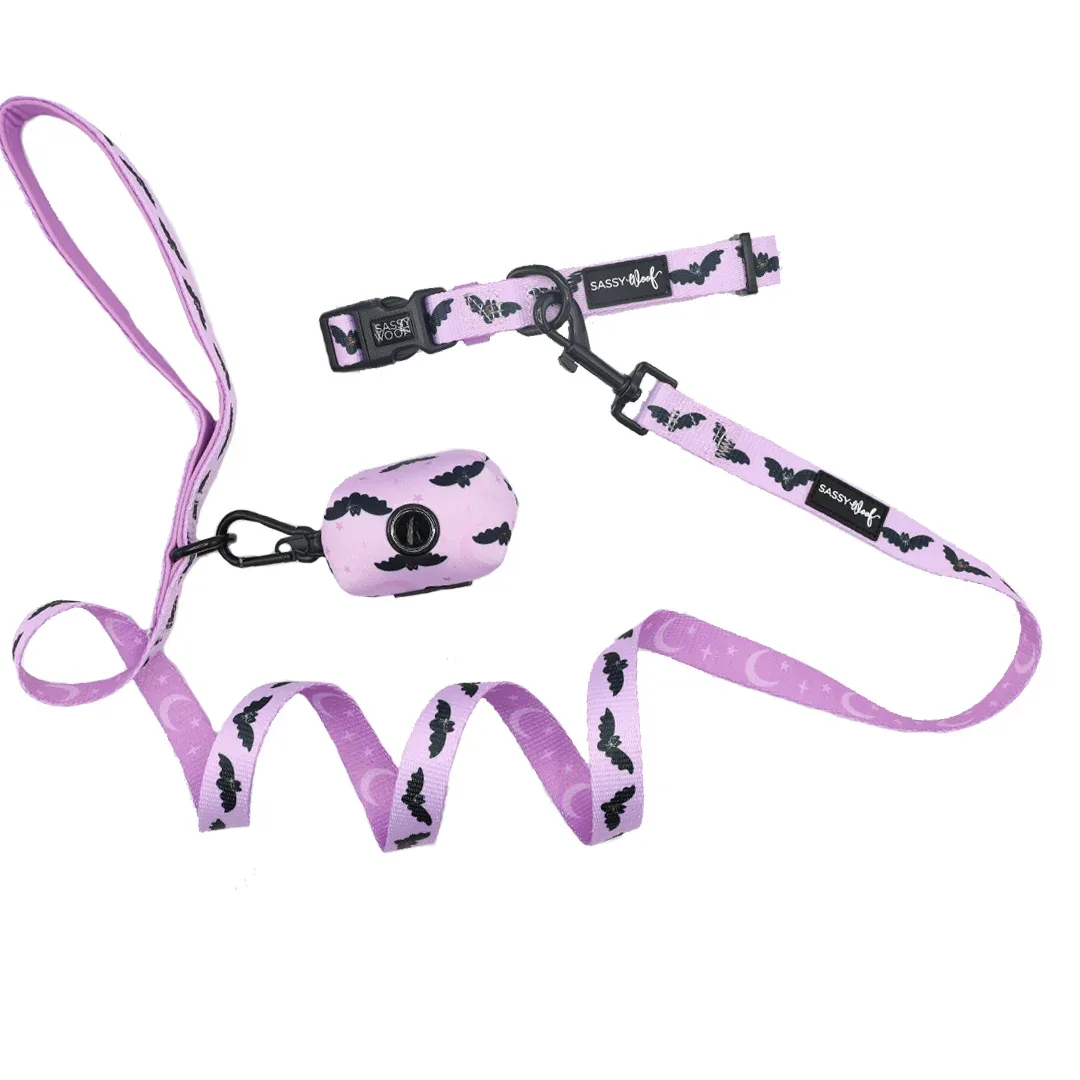 Dog Three Piece Bundle - Lil Batty