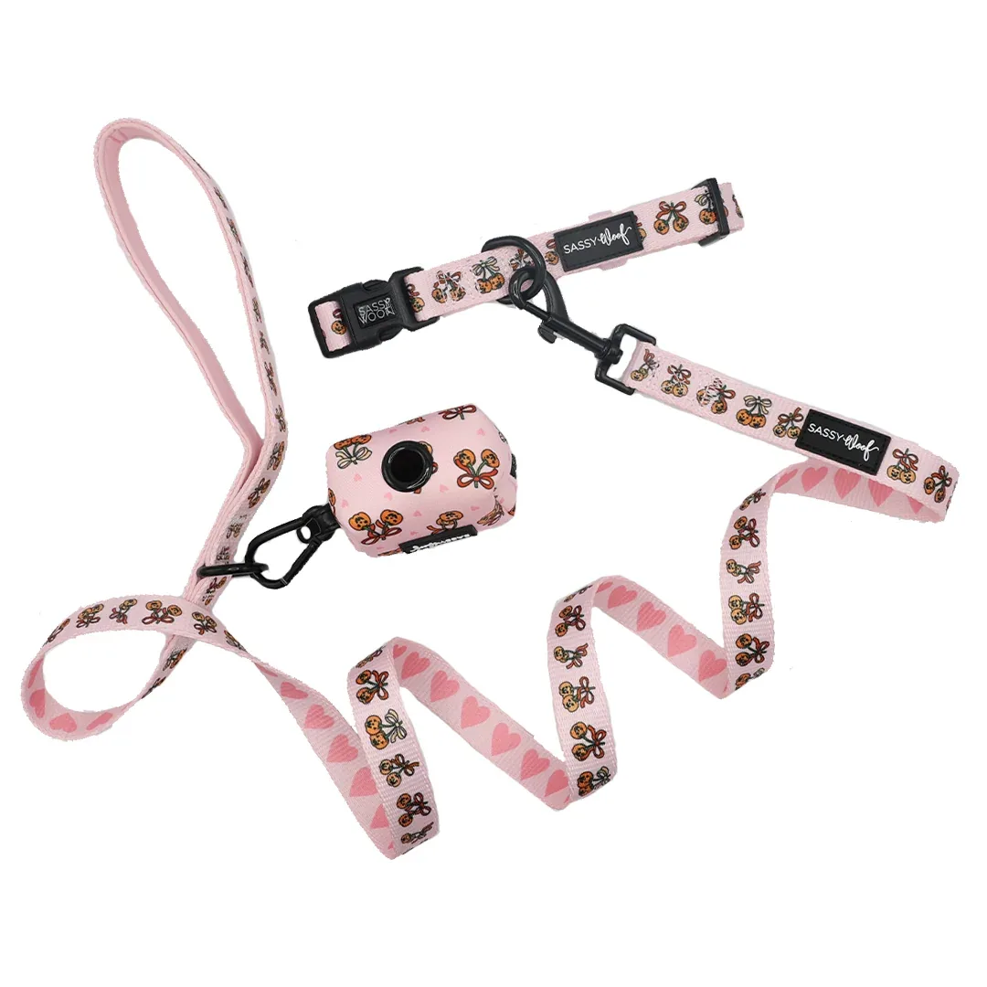 Dog Three Piece Bundle - Sassy Lil Pumpkins
