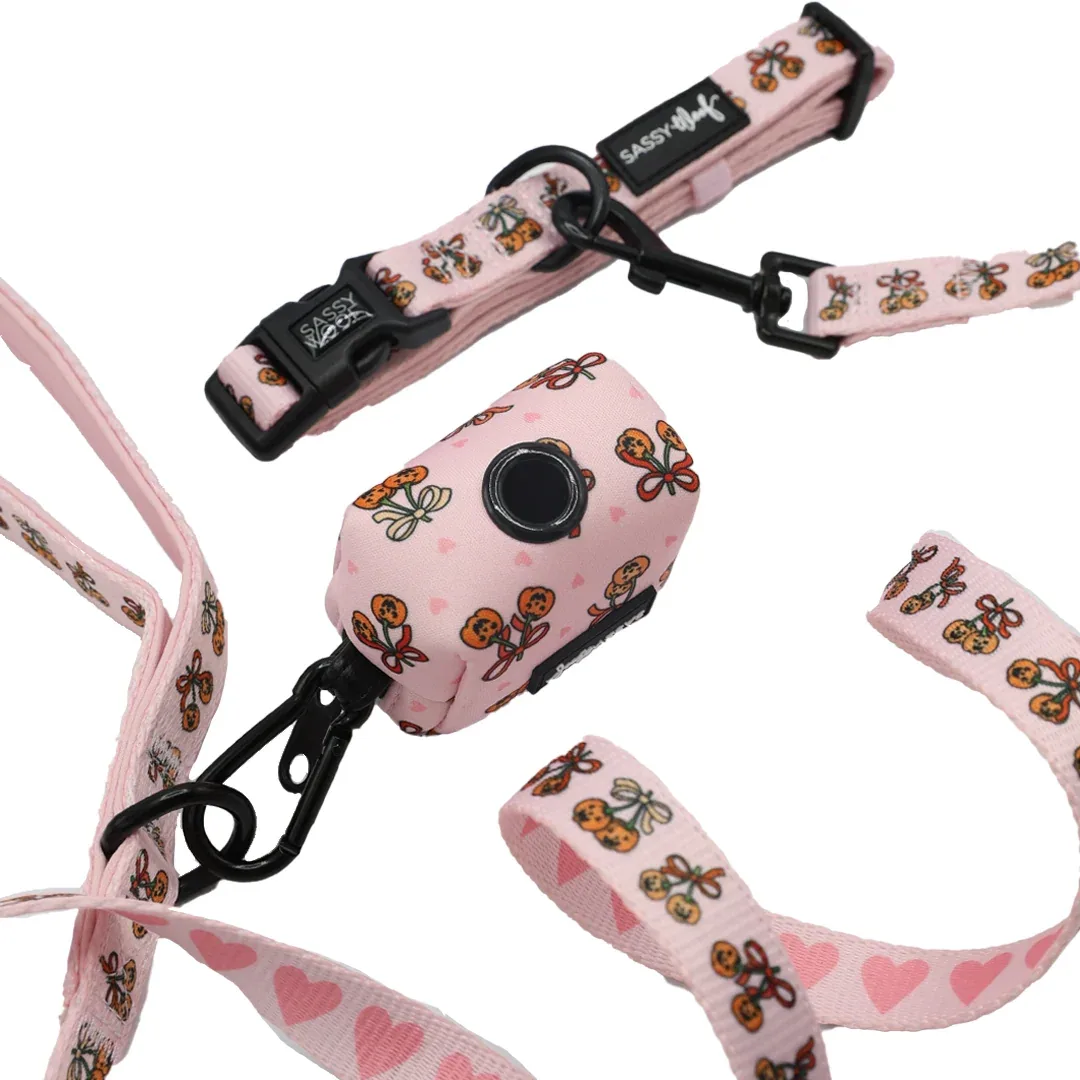Dog Three Piece Bundle - Sassy Lil Pumpkins - Image 2