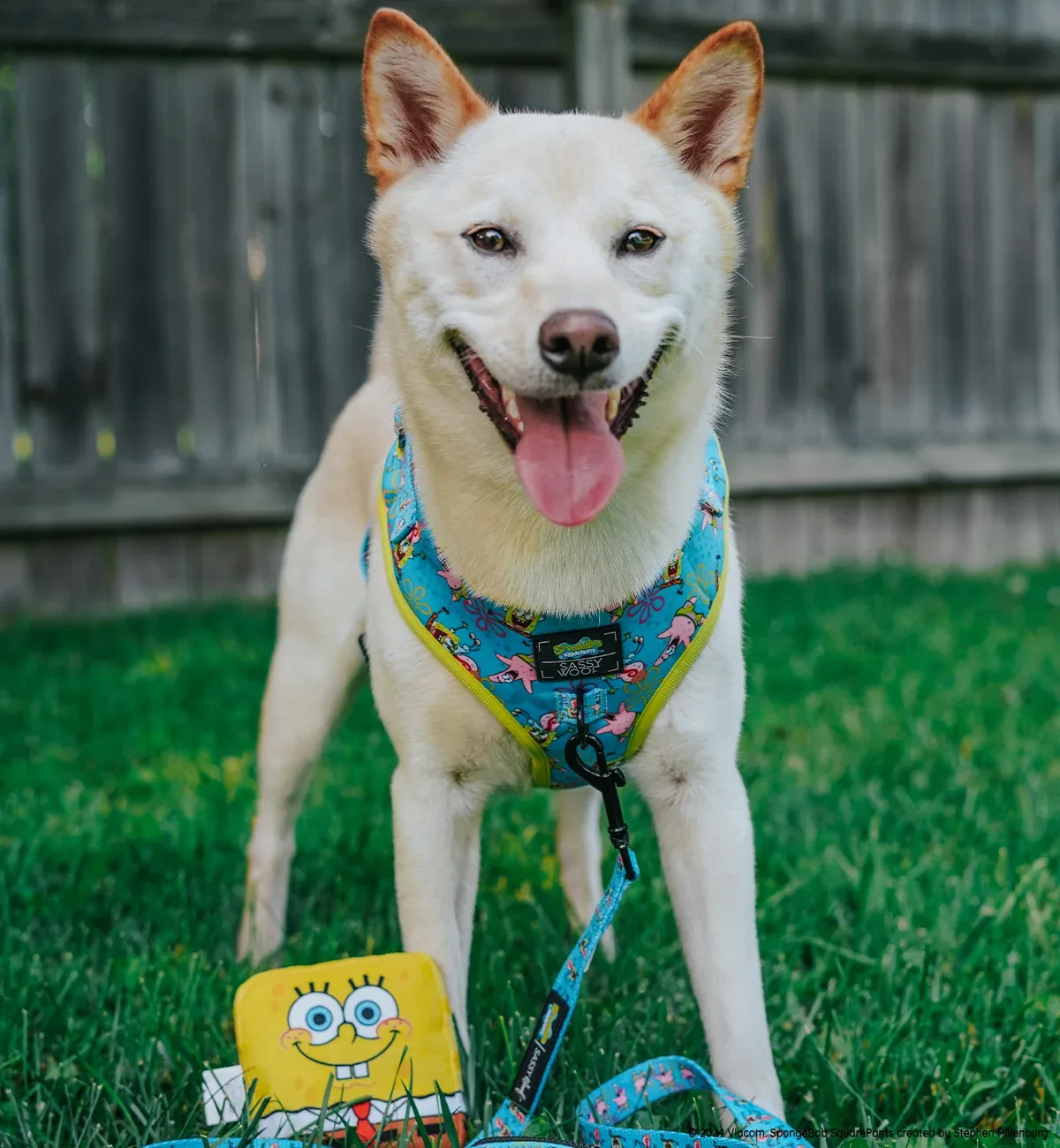 Dog Toy - SpongeBob SquarePants™ - Image 2
