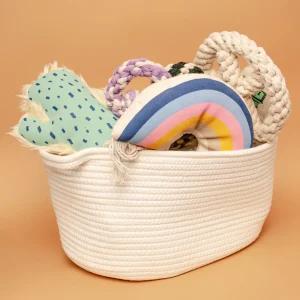 Dog Toy Storage Bin in Natural Cotton Rope
