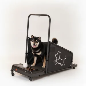 Dog Treadmill For Medium Dogs - Dog Pacer Treadmill For Healthy & Fit Pets - Dog Treadmill Run Walk