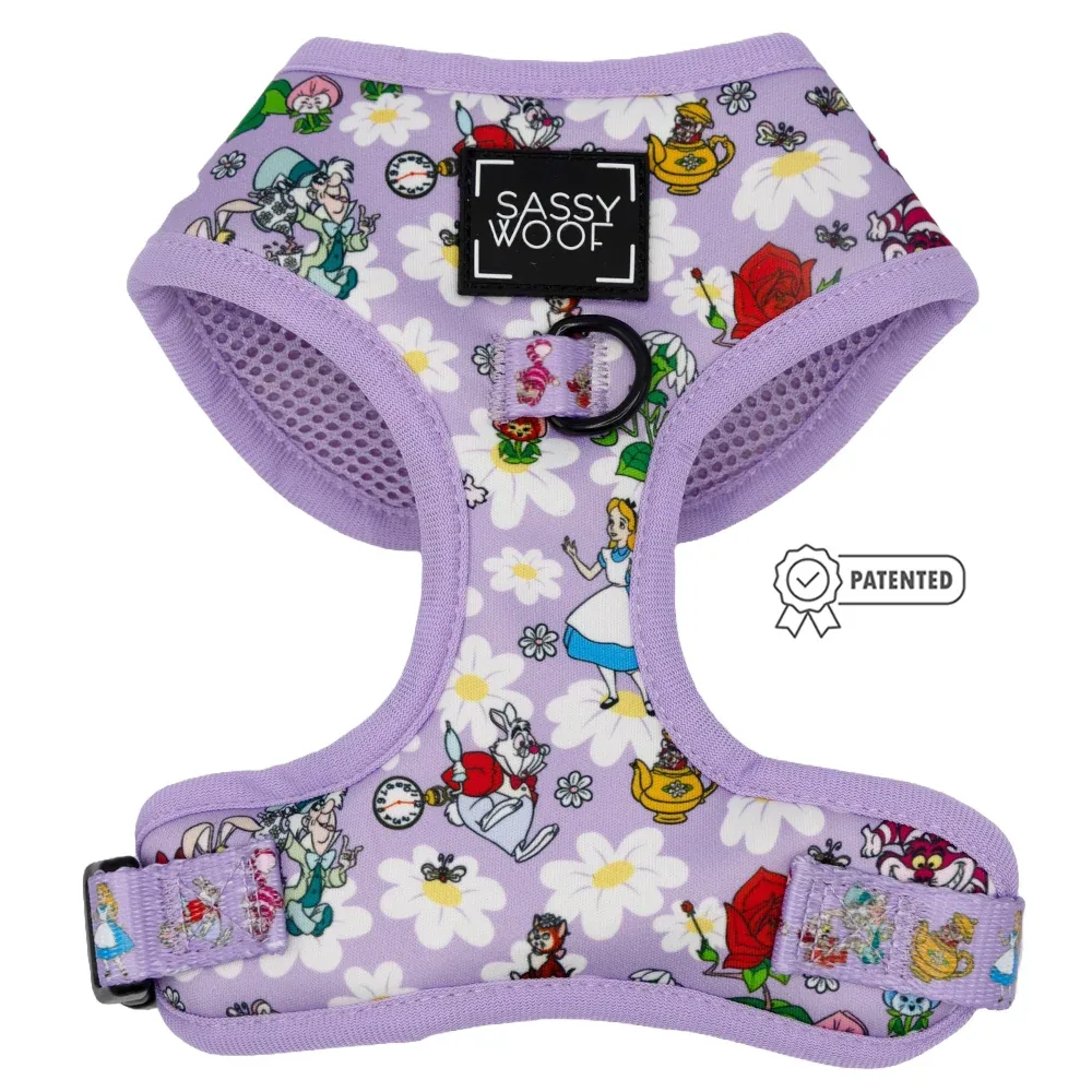 Dog Two Piece Bundle - Alice in Wonderland (Purple) - Image 2