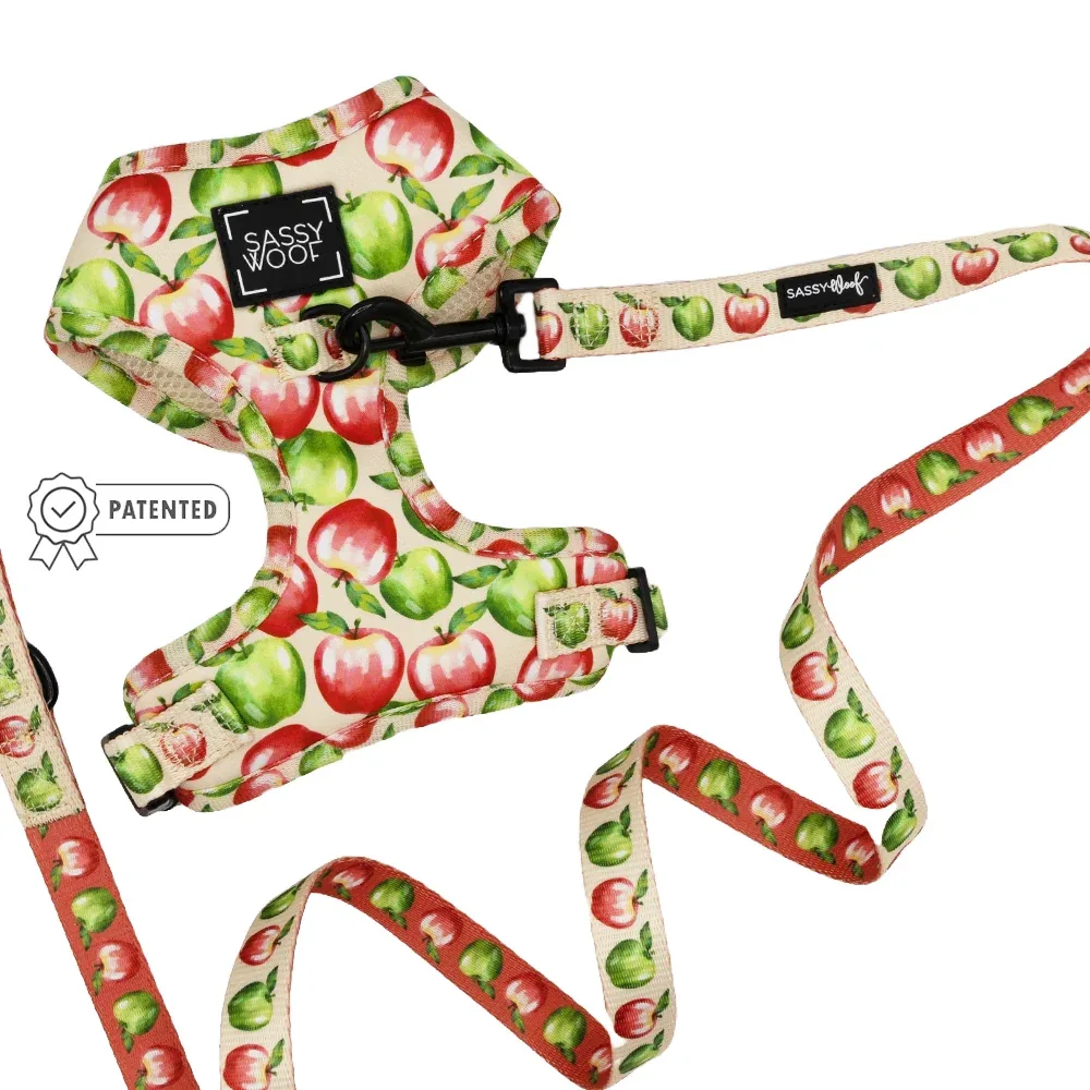 Dog Two Piece Bundle - Apple of My Eye