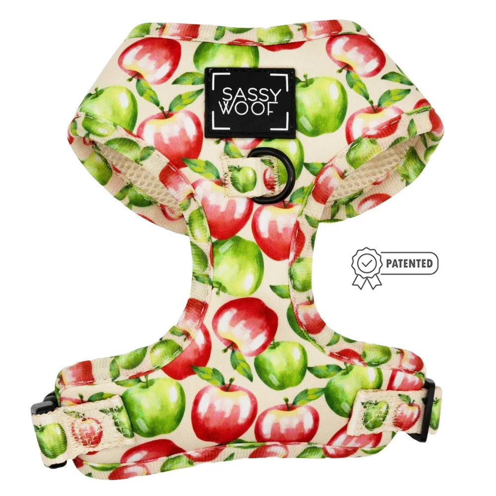 Dog Two Piece Bundle - Apple of My Eye - Image 2